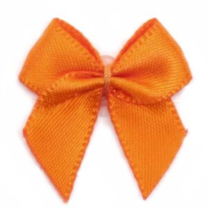 Fiocchetto raso tinta unita (Pz. 2) - Arancio